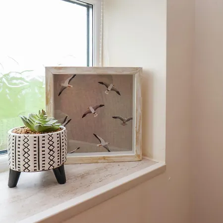 North Terrace * Saltburn-by-the-Sea